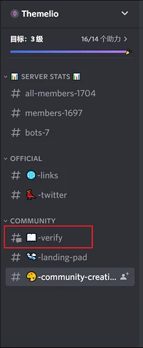 进入 Verify 频道